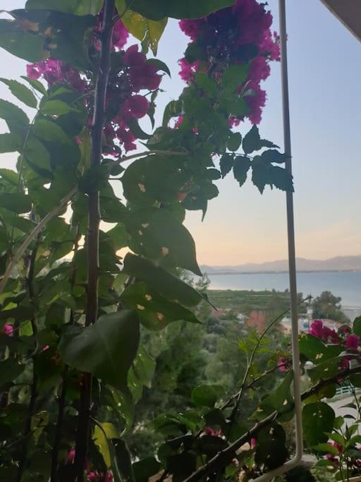 Sea View Maisonette Near Nafplio!1' Drive To Apartment